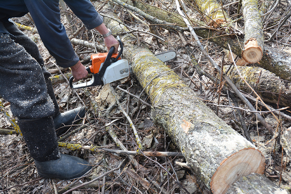 autorisation abattage arbre